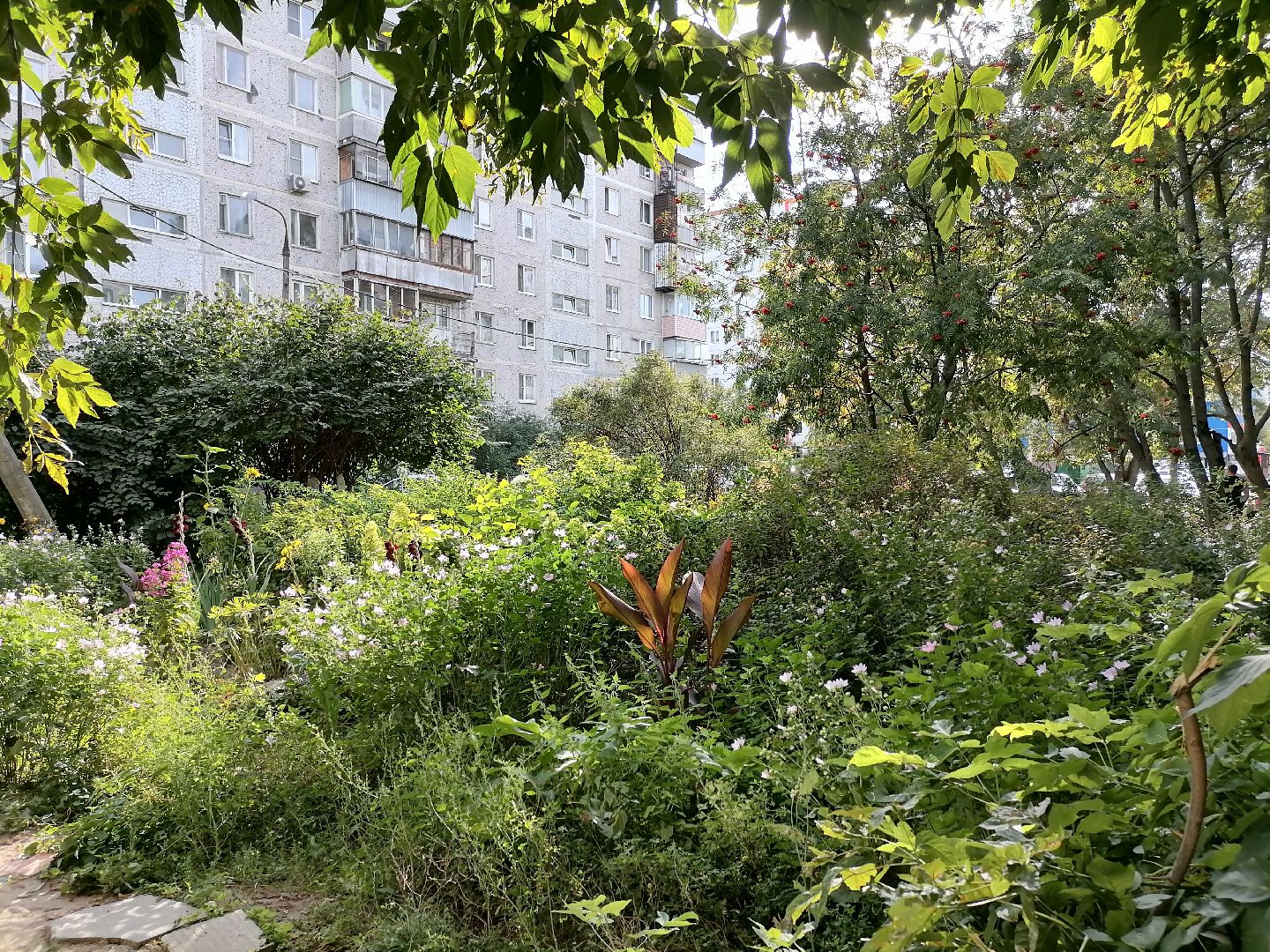 дворыподмосковья