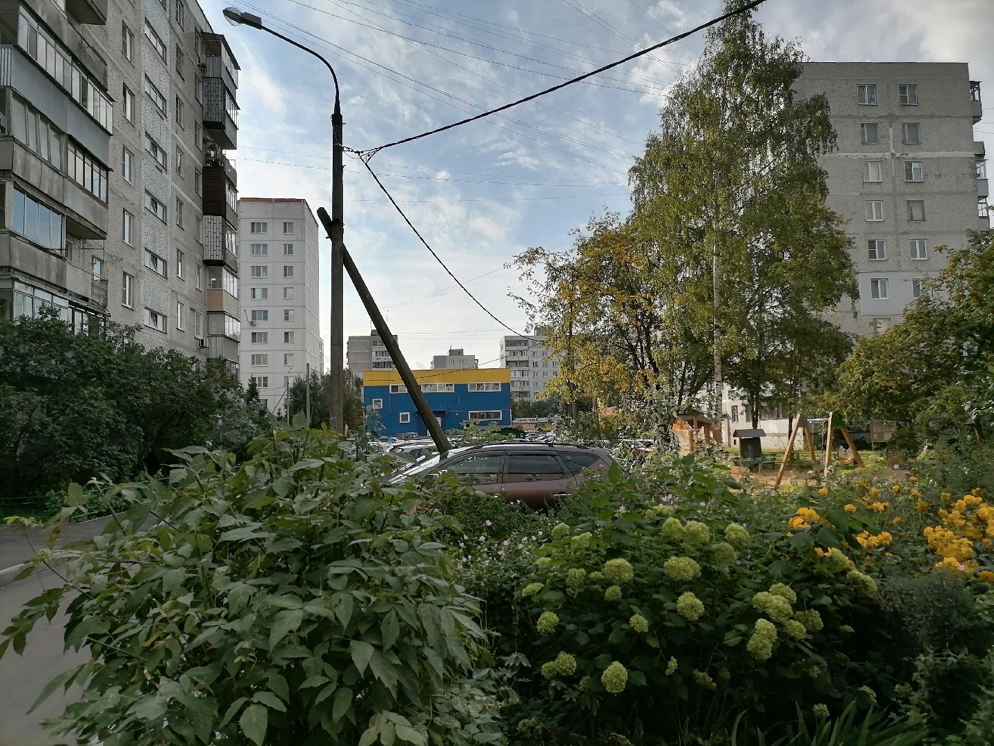 дворыподмосковья