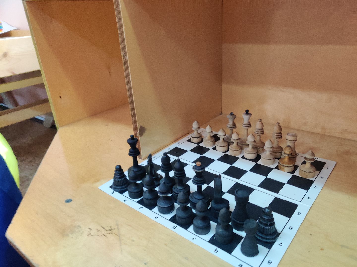 Красноармейск, Пушкинский, шахматы, дети, образование подмосковья,