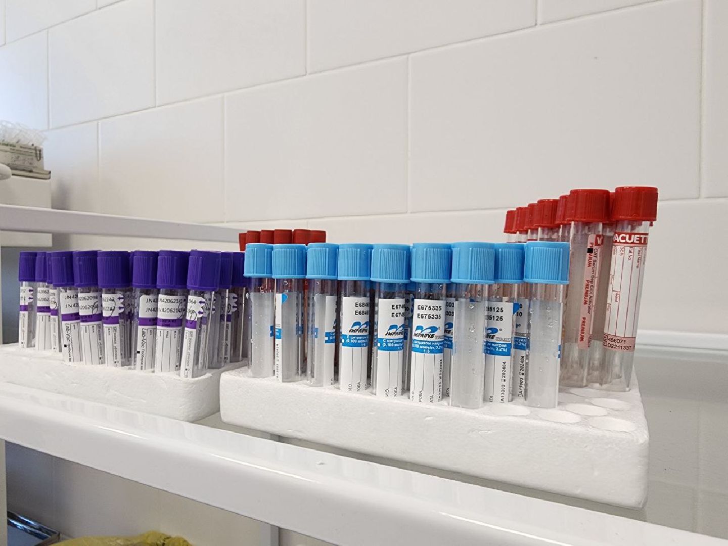 диспансеризация, здоровье, поликлиника, Лосино-Петровский, медицина,