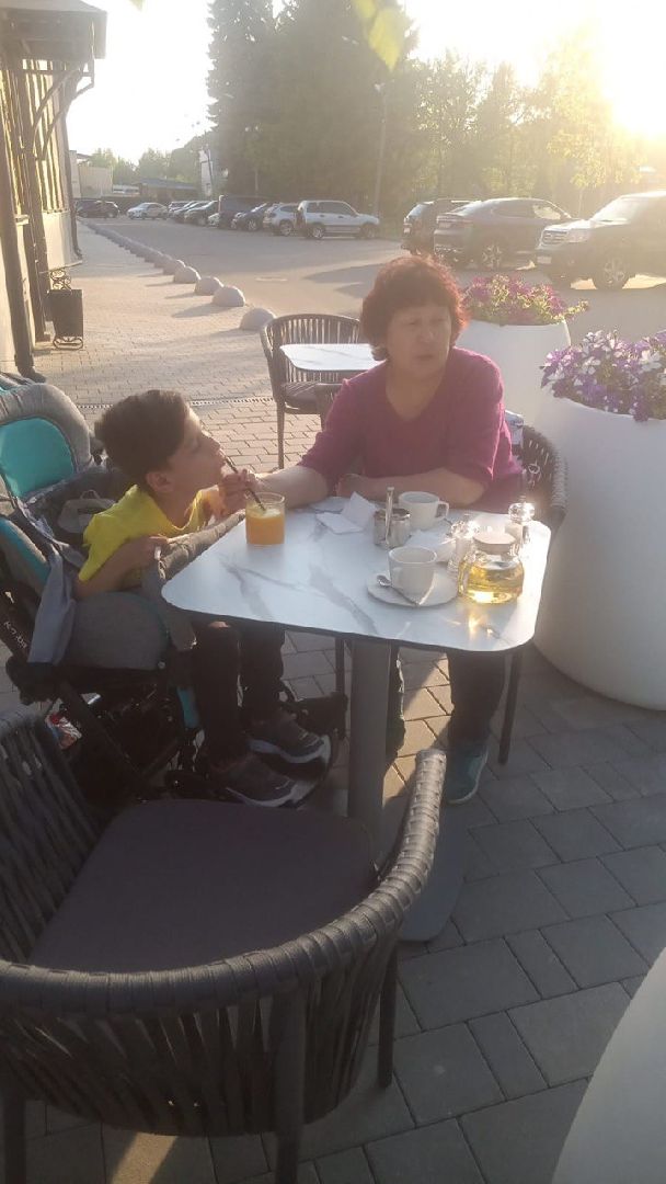 Чехов, выборы, ДЭГ, голосование, инвамама