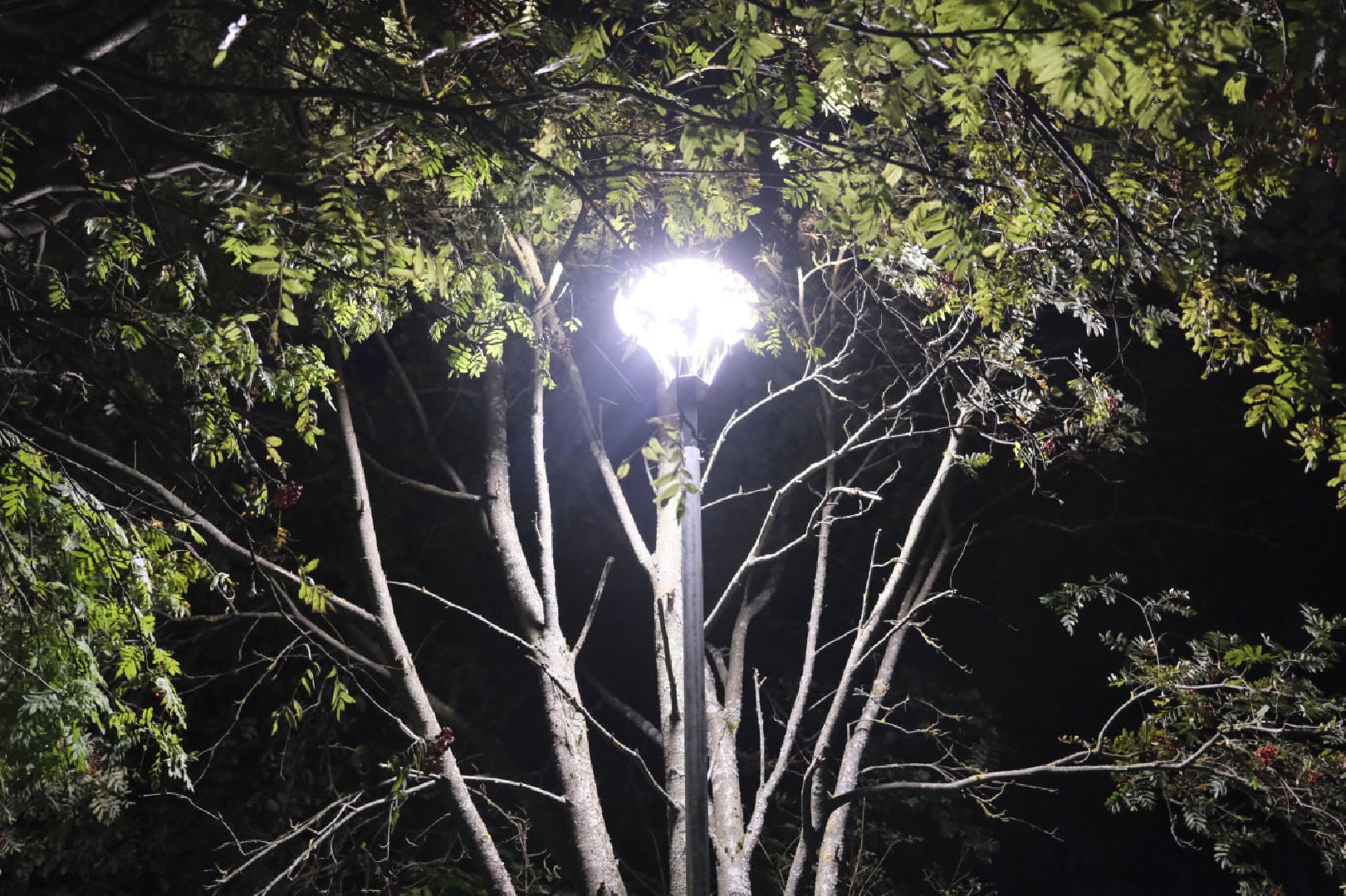 Пущино, освещение, дворы