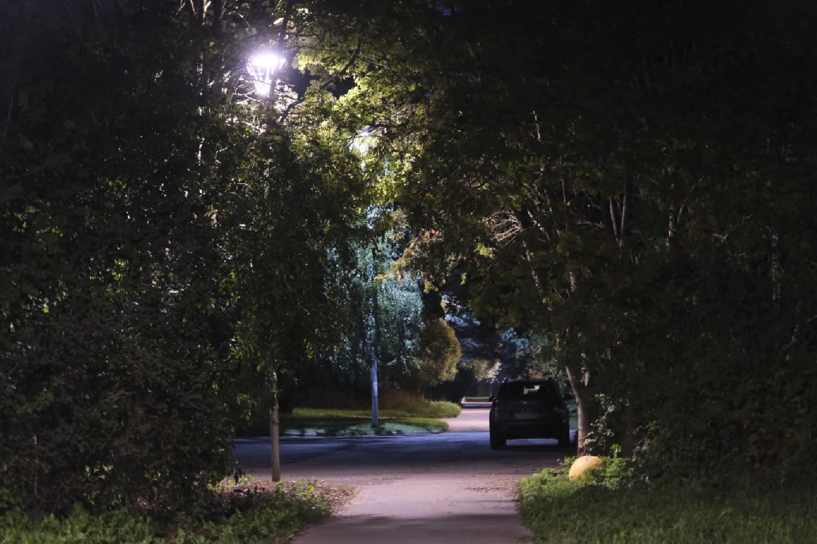 Пущино, освещение, дворы