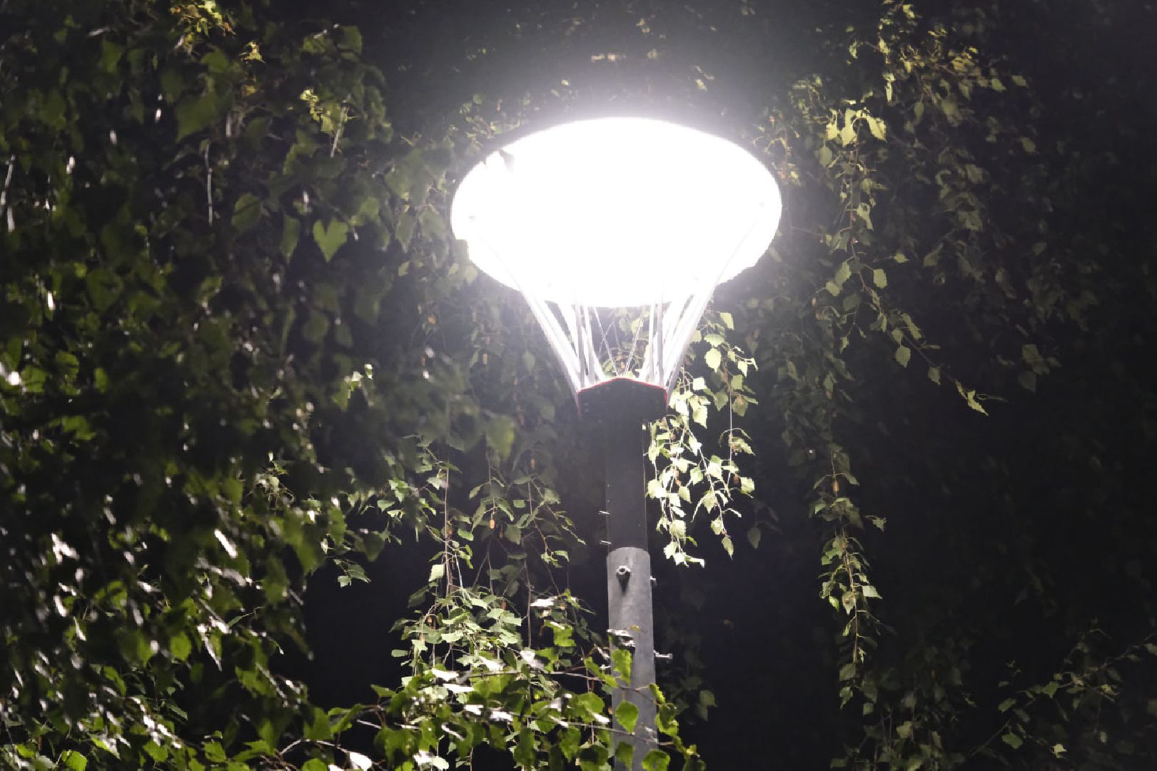 Пущино, освещение, дворы