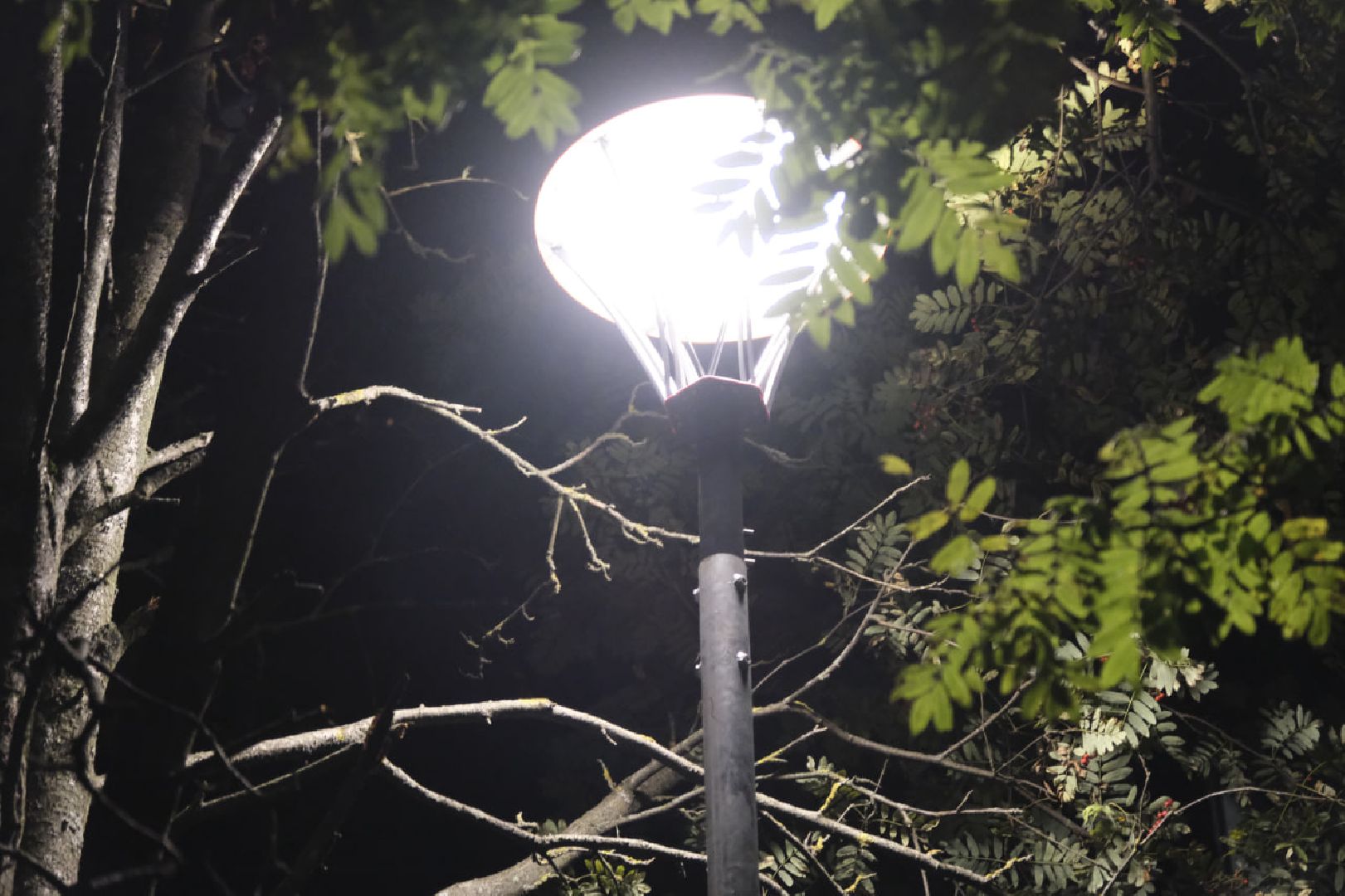 Пущино, освещение, дворы