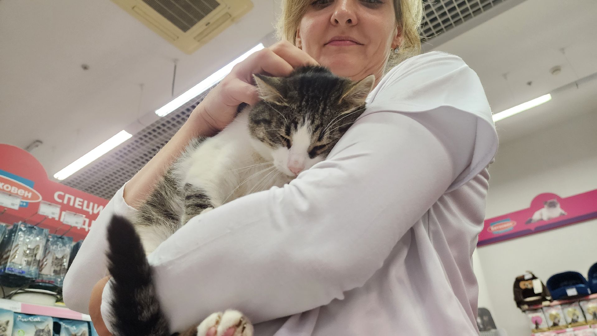 спасение животных, благотворительность, волонтерство, Котельники