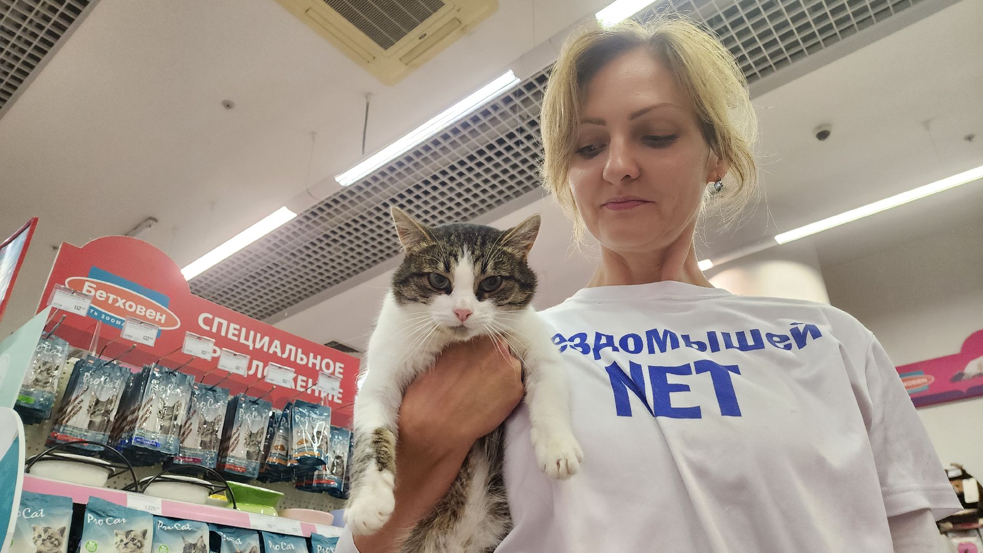 спасение животных, благотворительность, волонтерство, Котельники