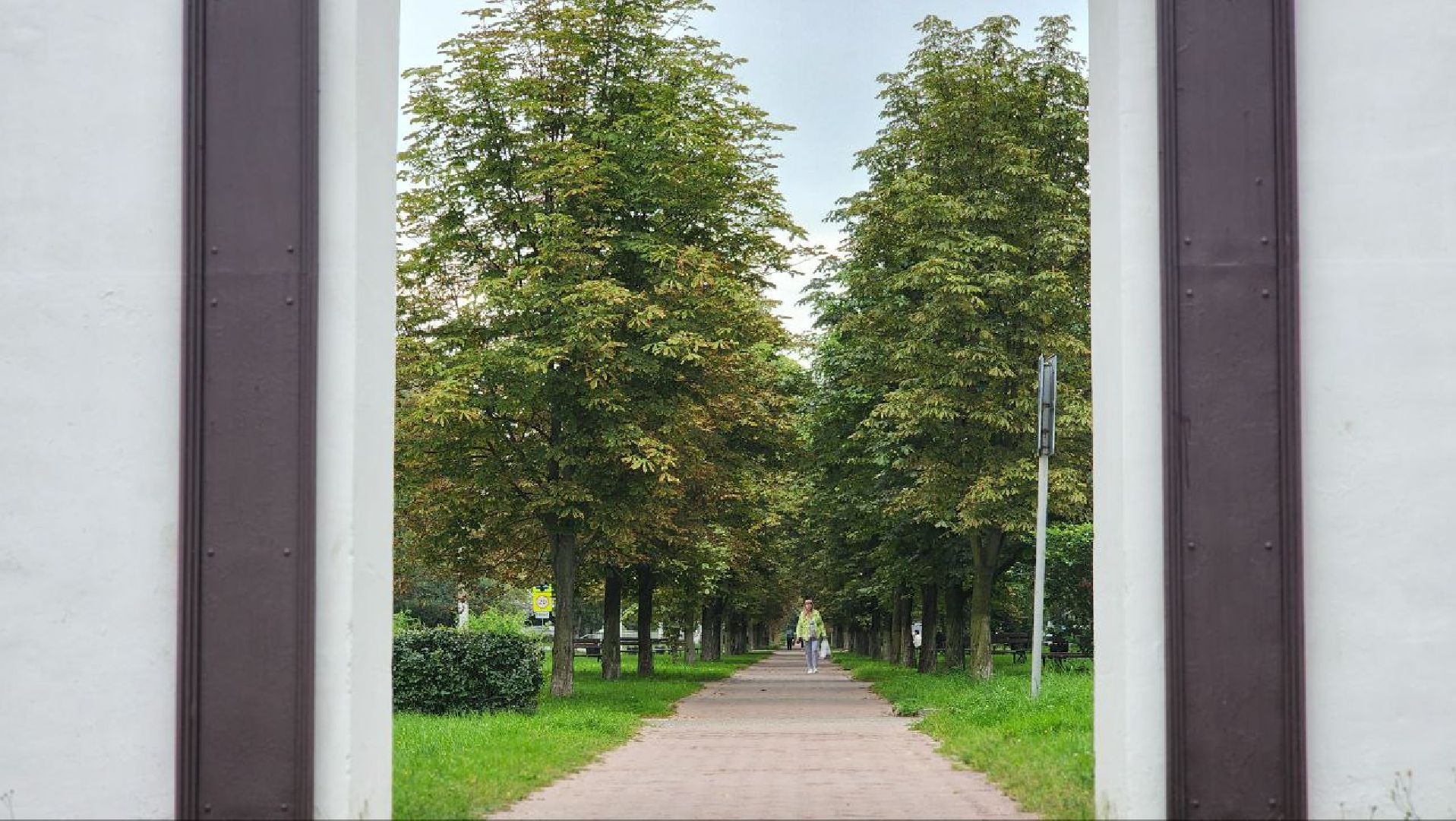 Дмитров, Метеостанция, Погода