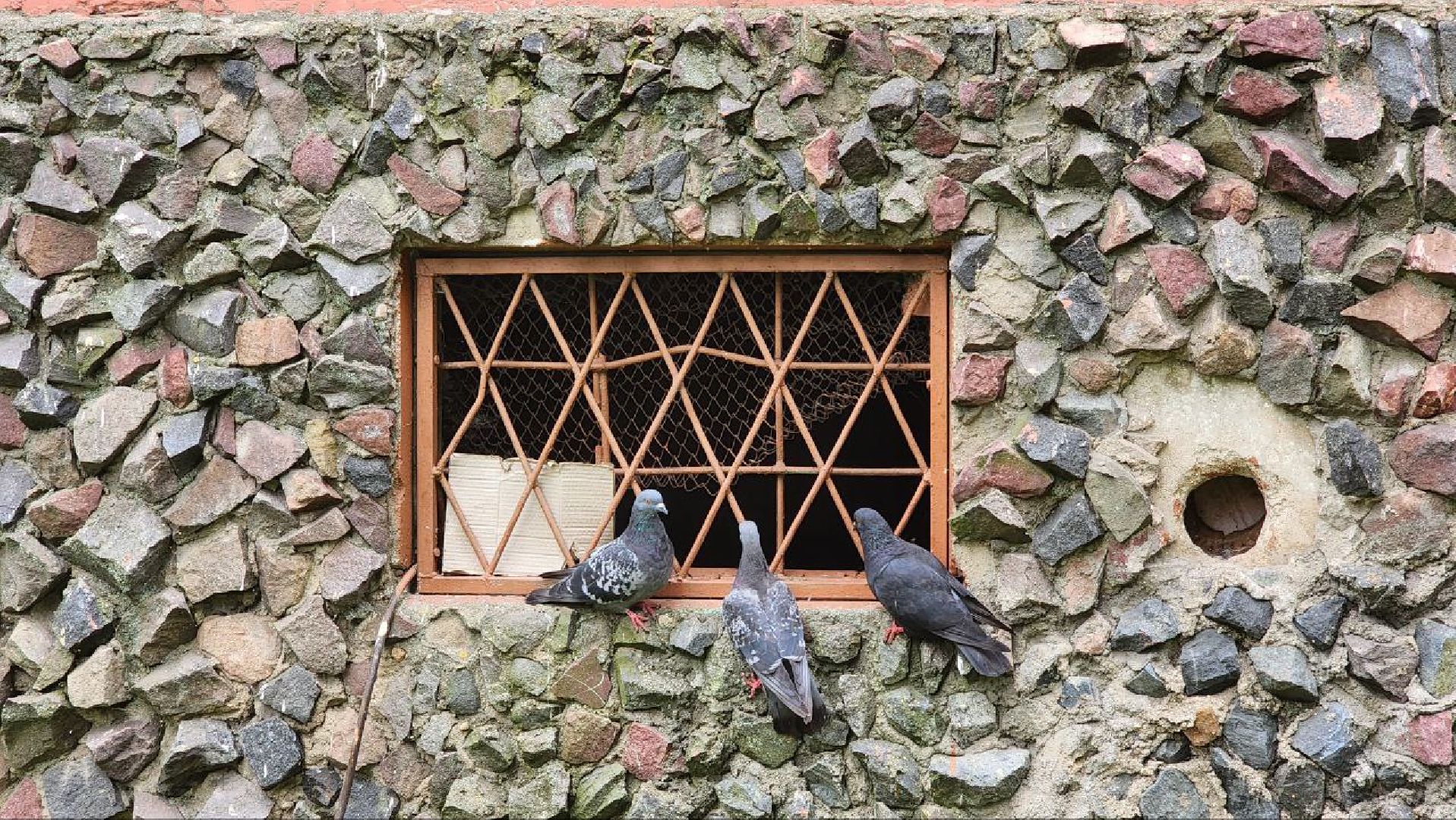 Дмитров, Метеостанция, Погода