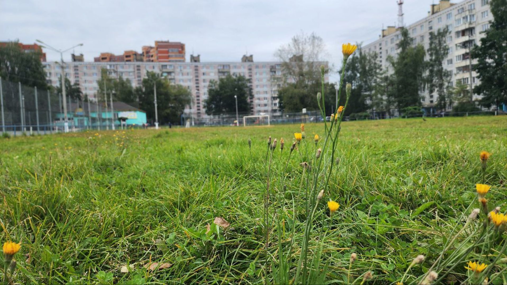 Дмитров, Метеостанция, Погода