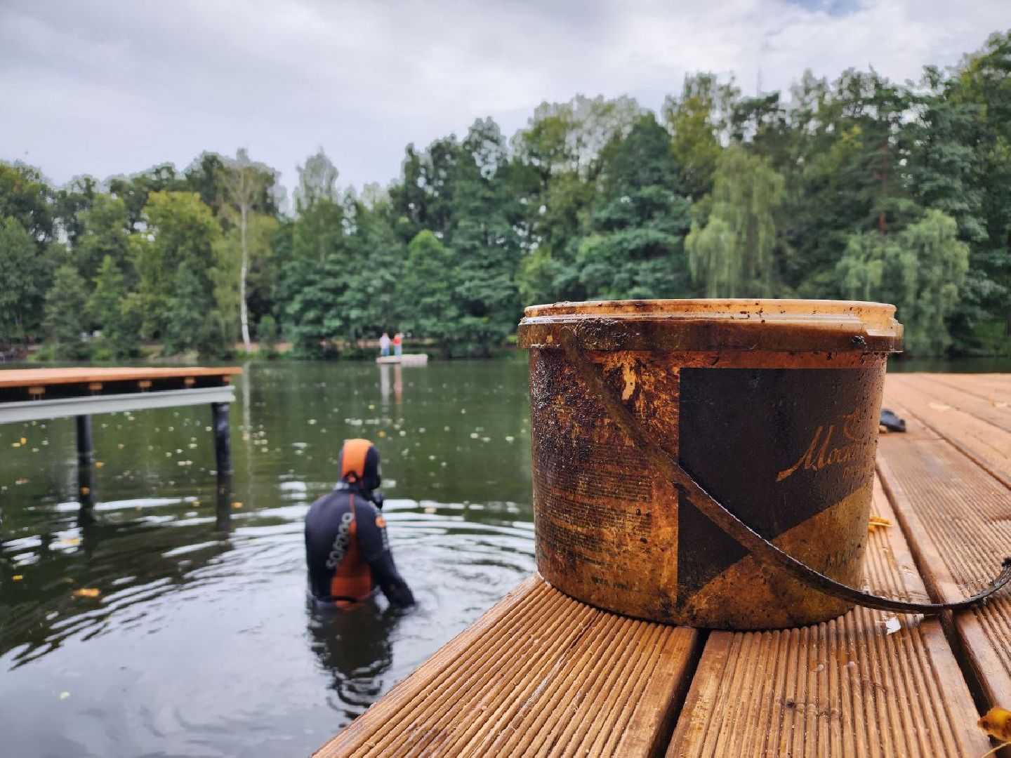 парк, водоём, очистка пруда, экология, Лосино-Петровский