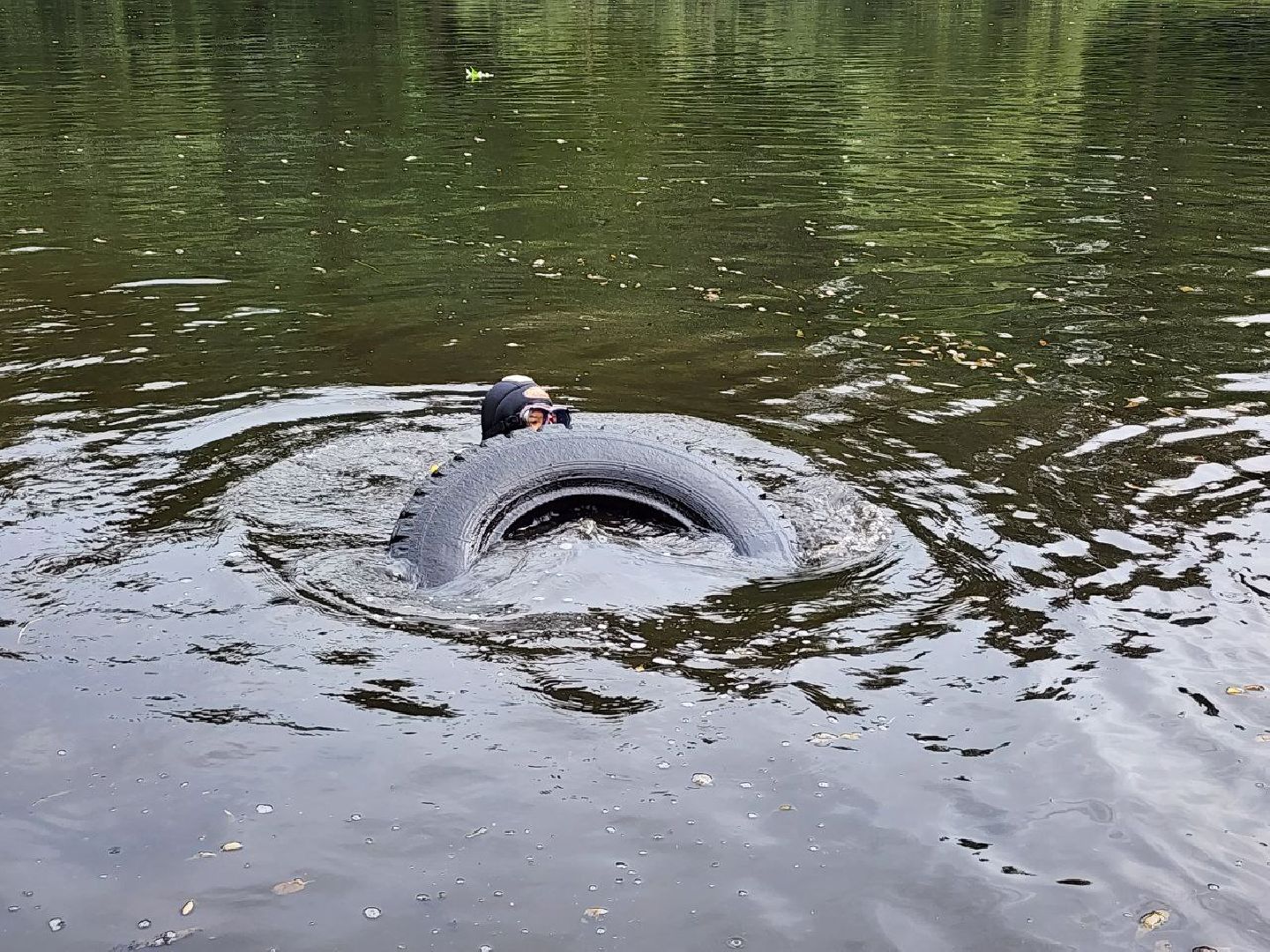 парк, водоём, очистка пруда, экология, Лосино-Петровский