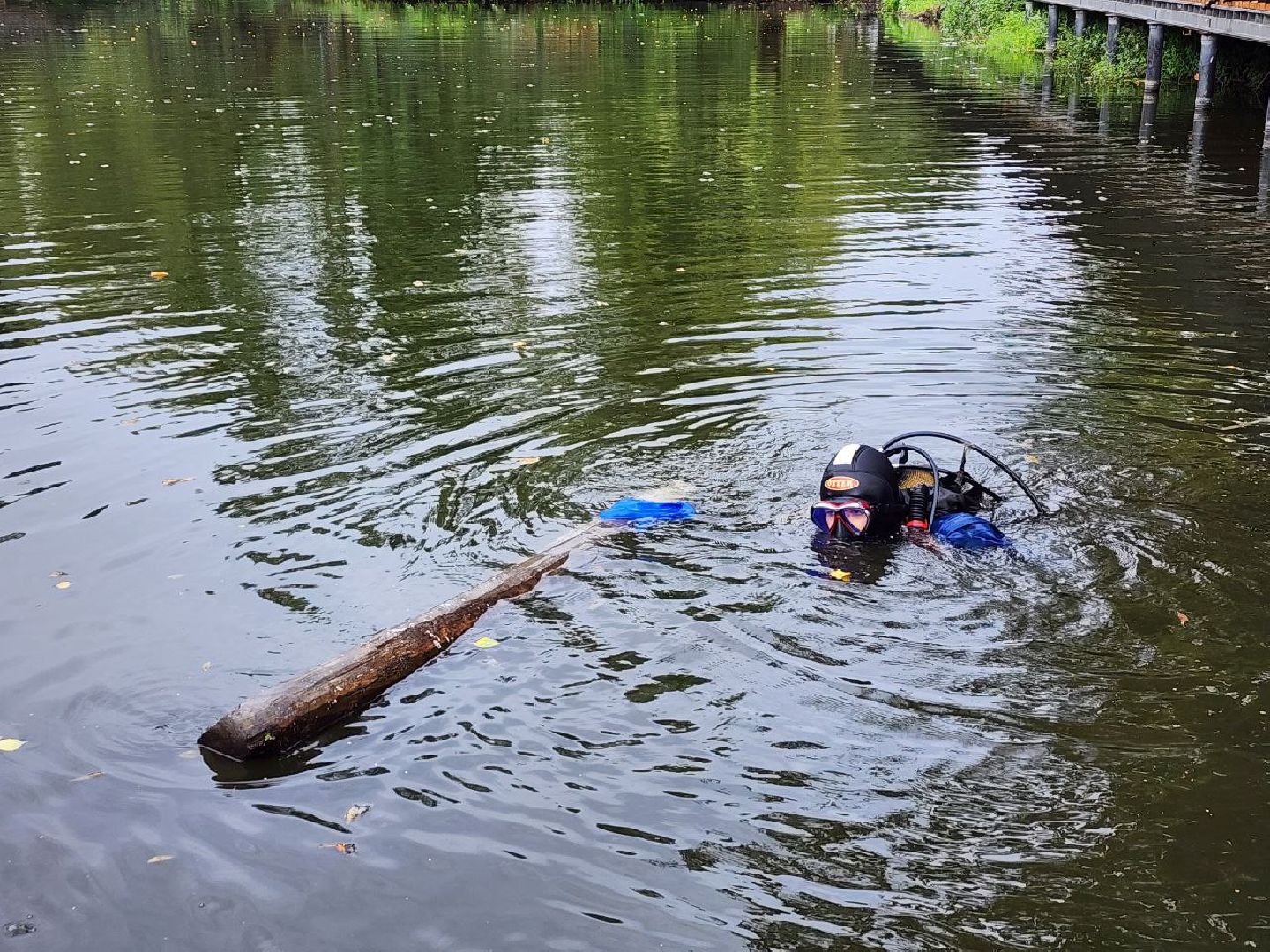 парк, водоём, очистка пруда, экология, Лосино-Петровский