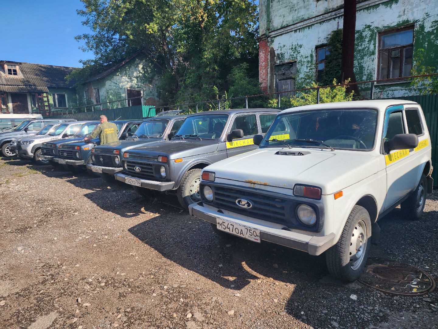 Серпухов, Подмосковье, лес, Русский лес, лучший добровольный пожарный Московской области