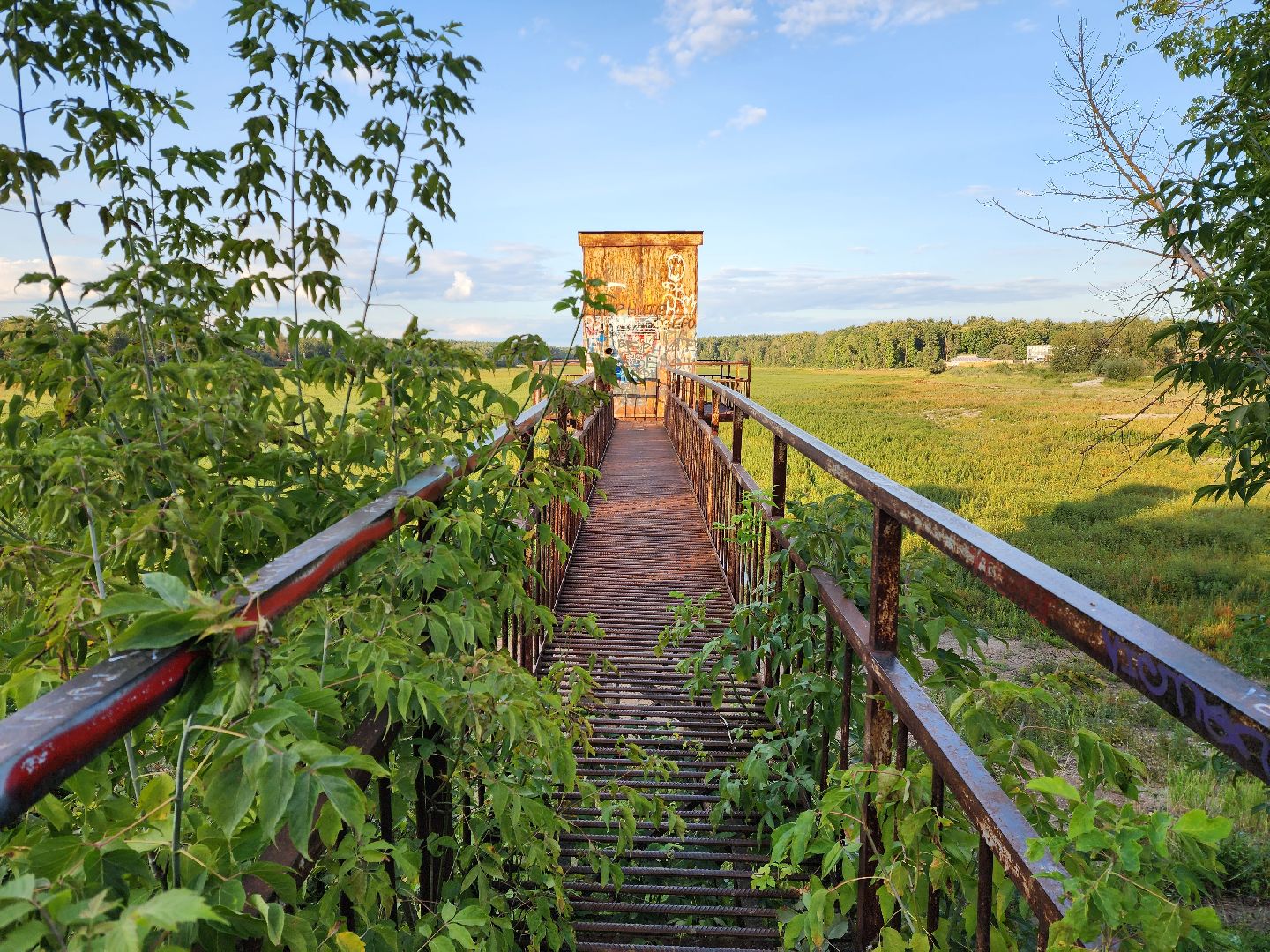 Раменское, экология, озеро в Поповке