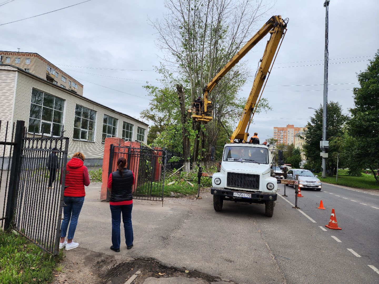 Подольск, благоустройство, кронирование деревьев, отработка жалоб