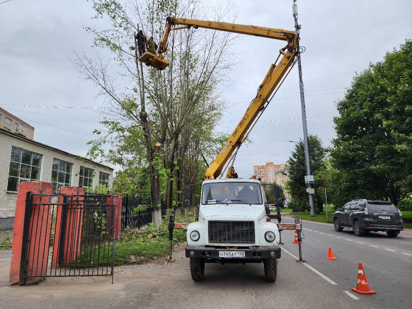 Подольск, благоустройство, кронирование деревьев, отработка жалоб