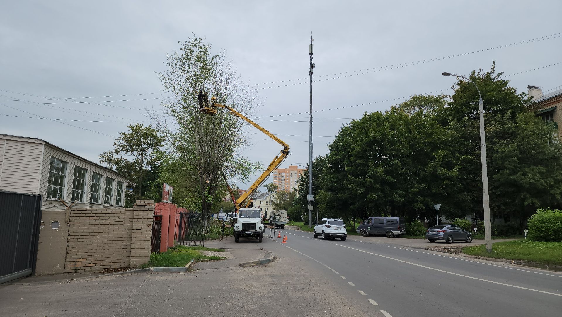 Подольск, благоустройство, кронирование деревьев, отработка жалоб