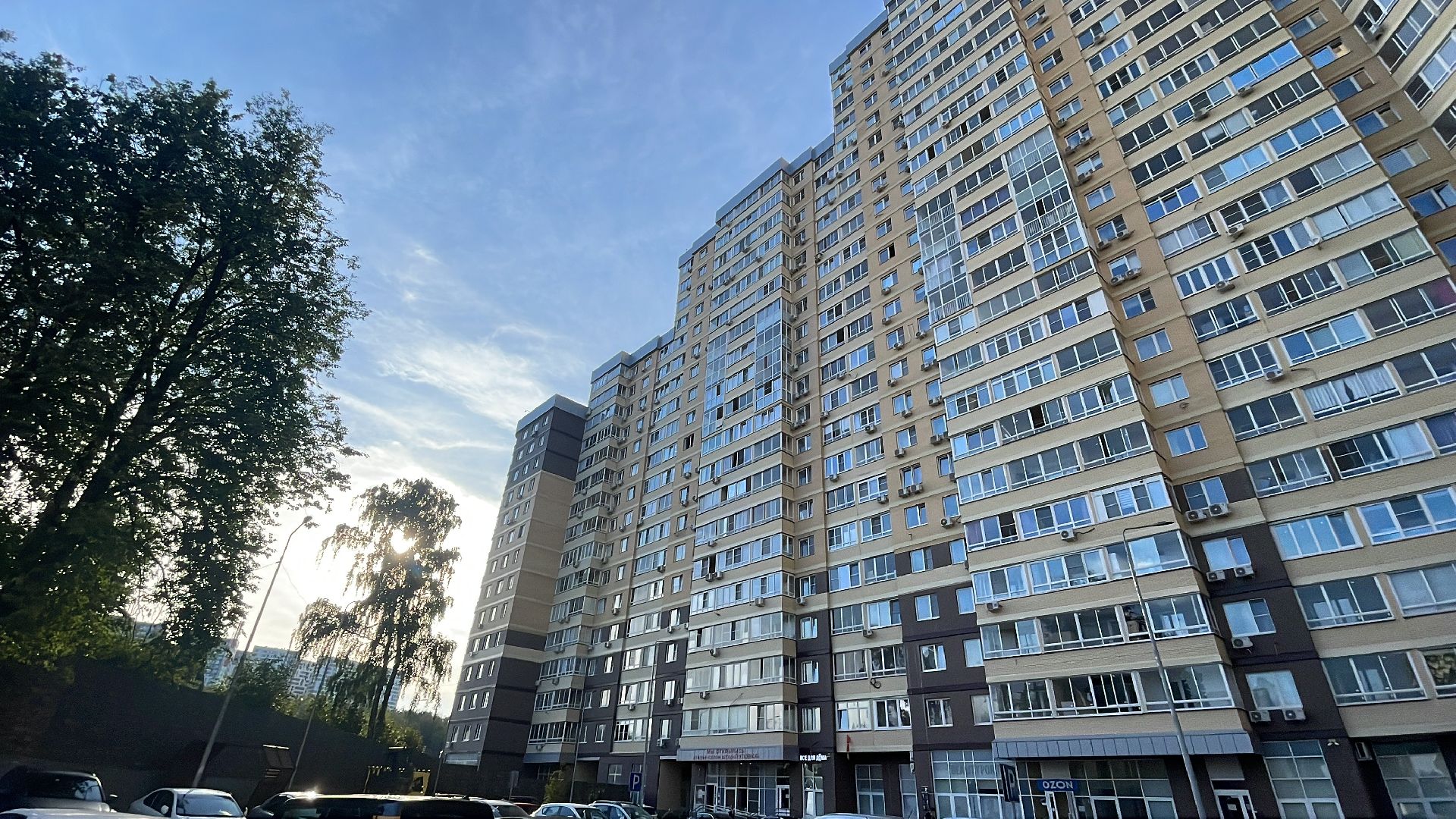 Одинцово, пожар, запах гари, промзона, МЦУР, Министерство экологии и природопользования Московской области