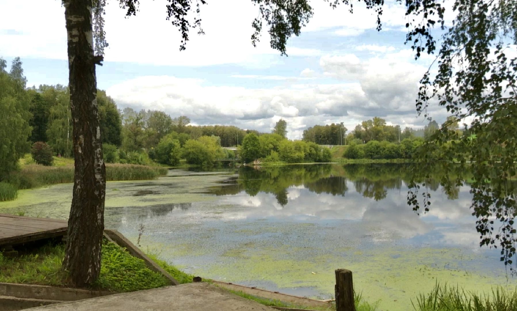 Клин, парки, общество, благоустройство, перемены