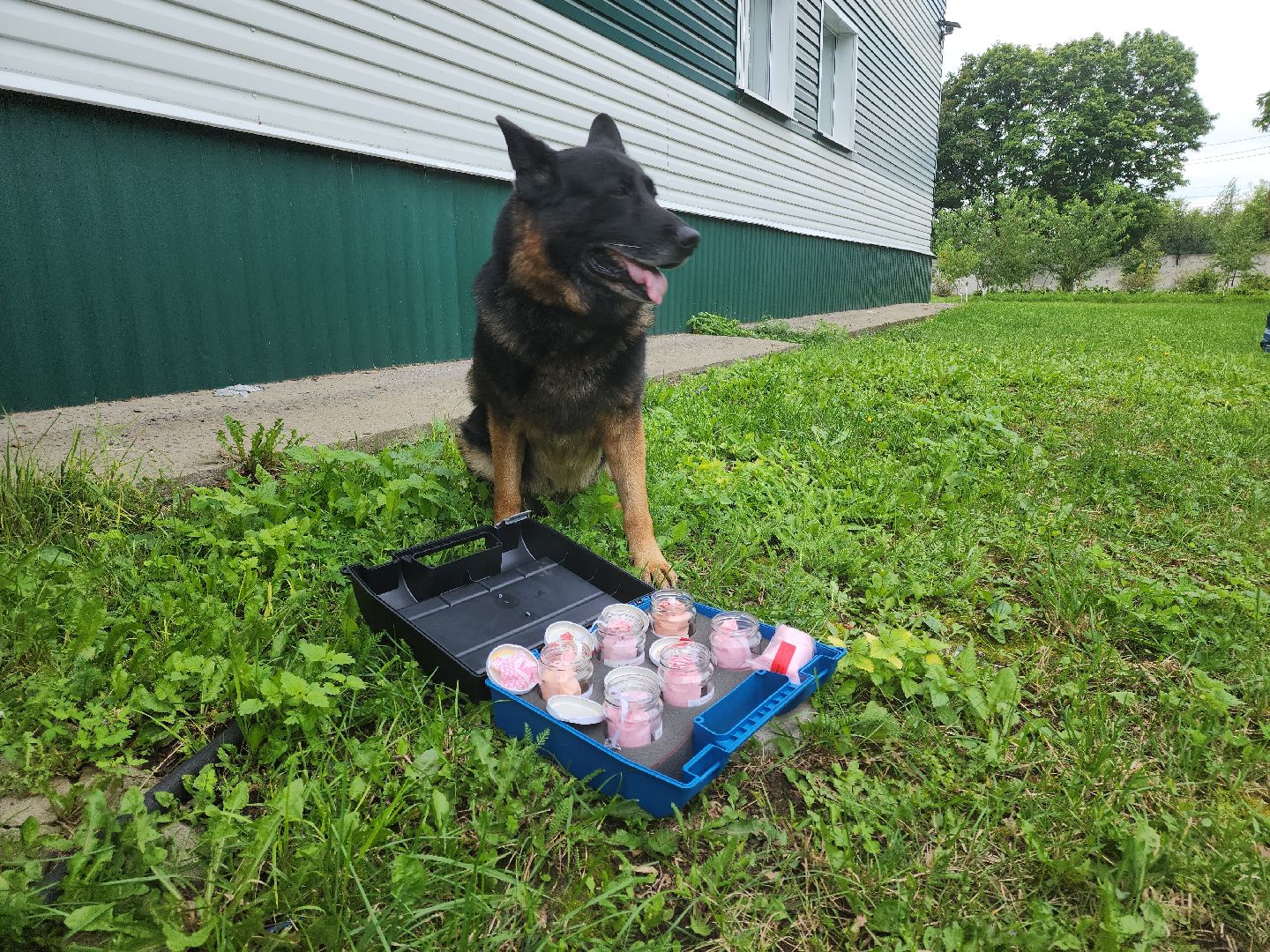 Кашира, спешкола, тренировка, учения, Росгвардия