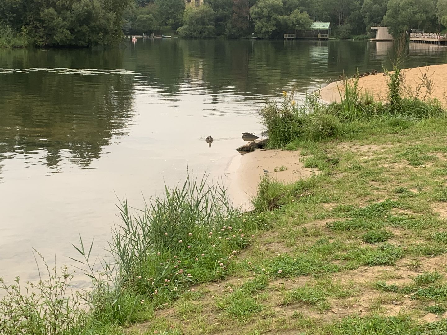 Пруд, благоустройство, очищение пруда, жители,