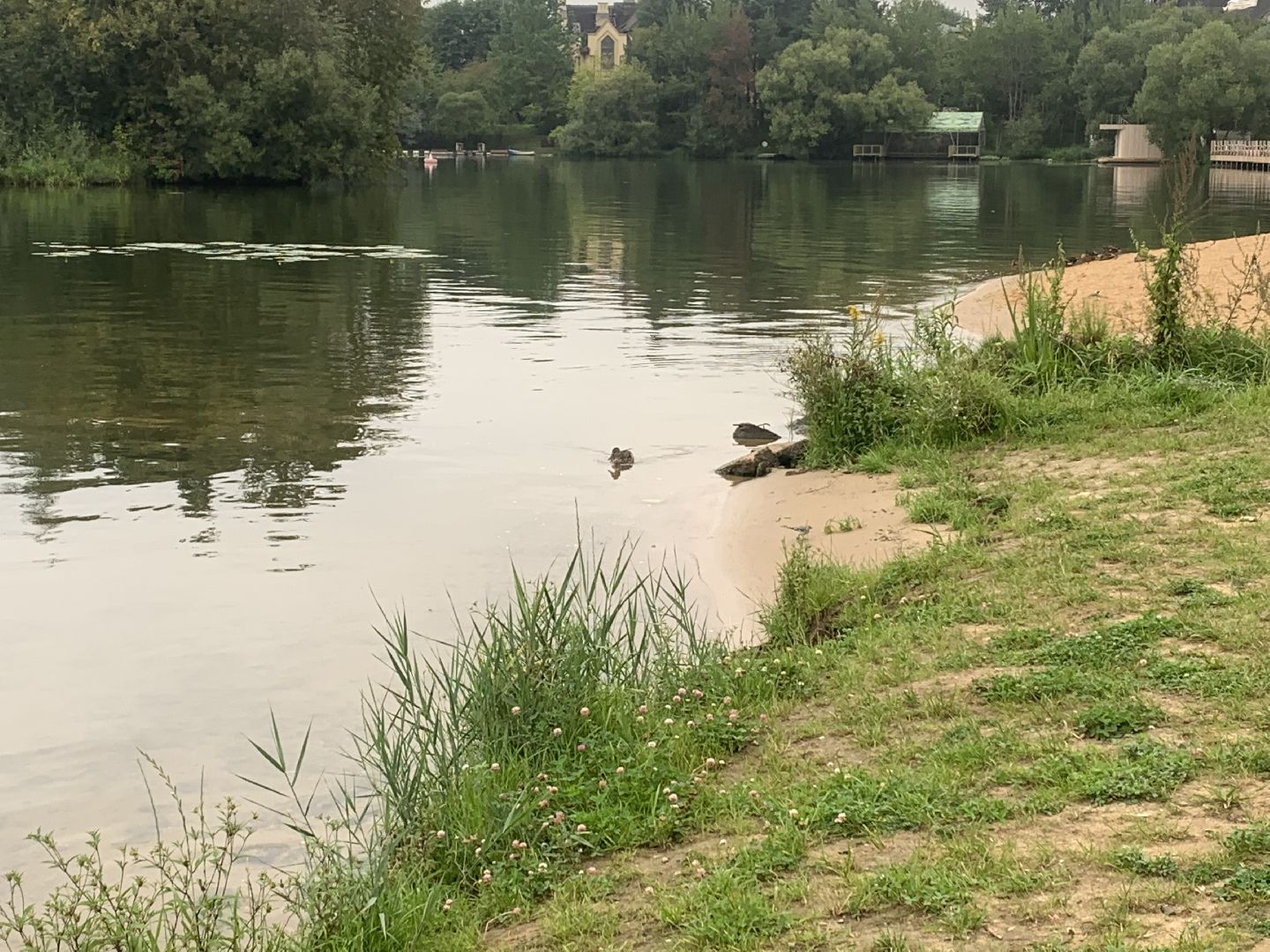 Пруд, благоустройство, очищение пруда, жители,