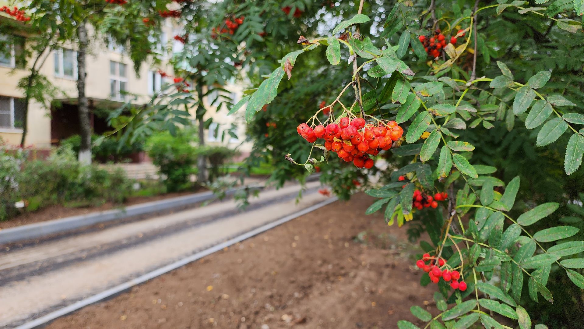Кашира, благоустройство, дворы, парковки, асфальт