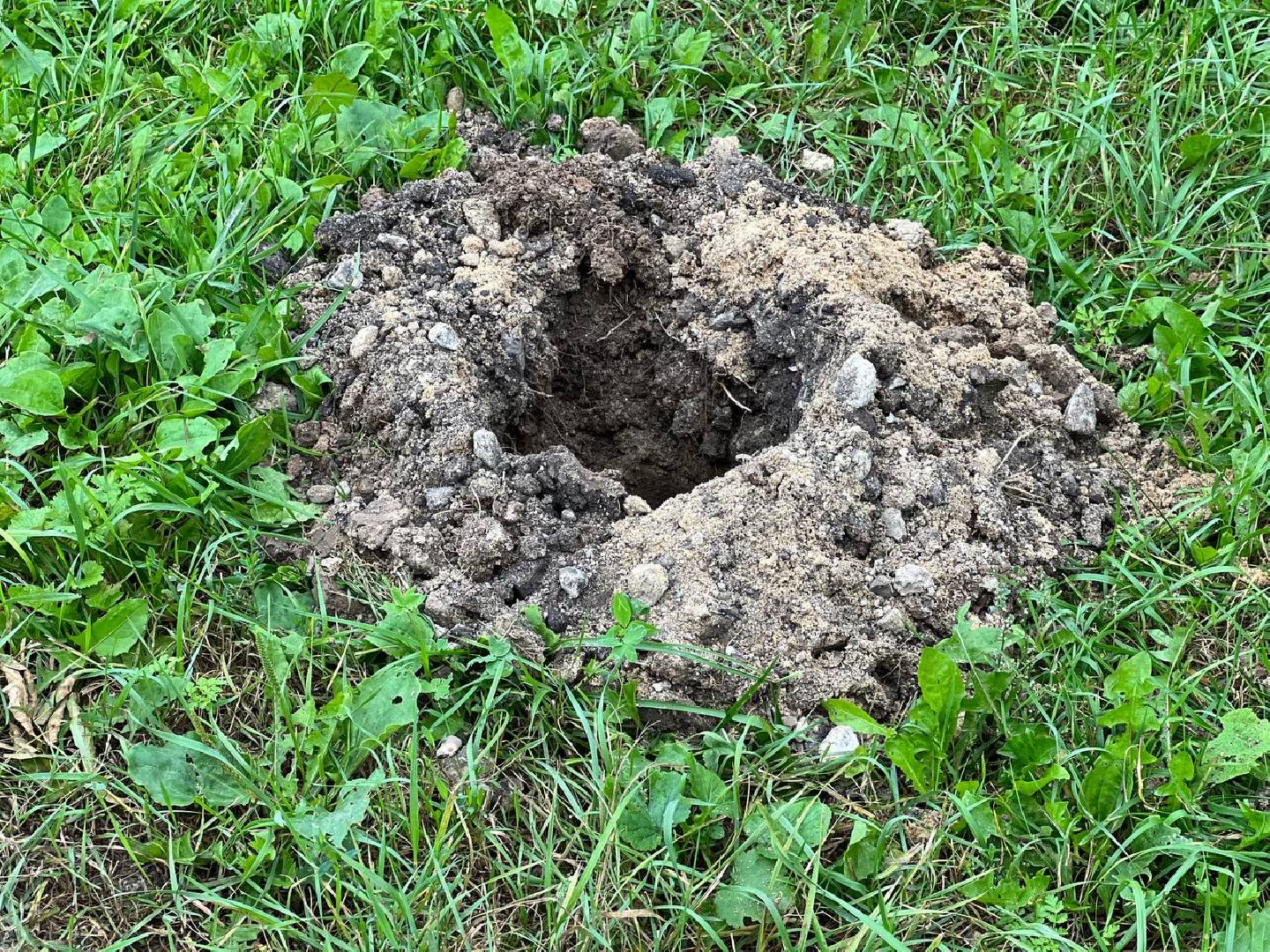 Подольск, благоустройство, работа с обращениями