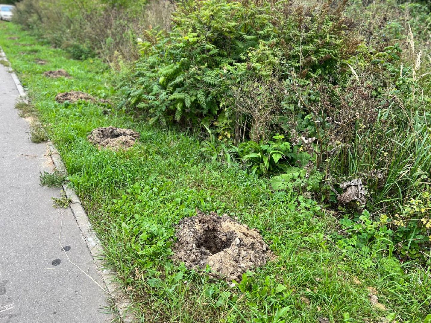 Подольск, благоустройство, работа с обращениями