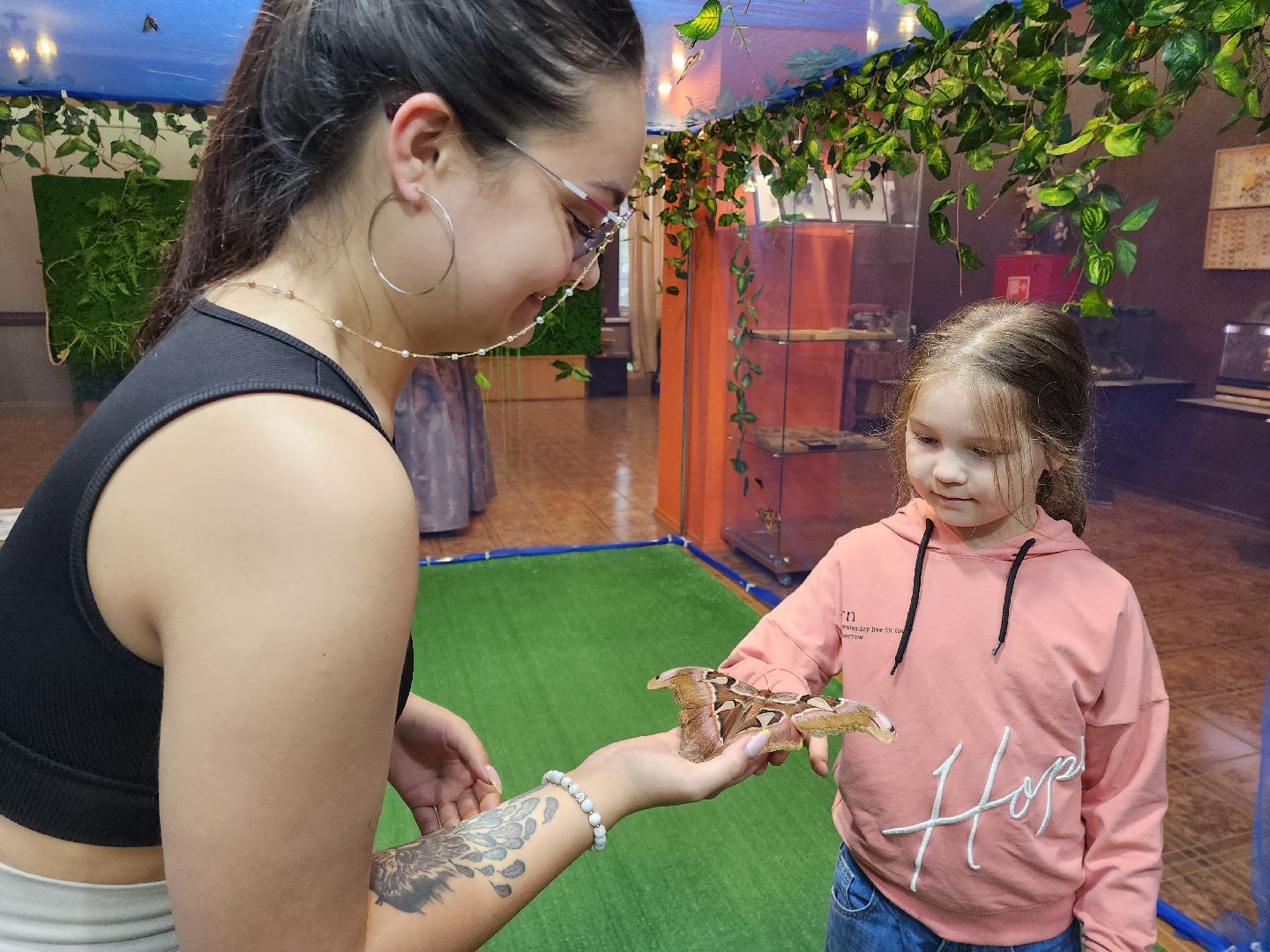 Раменское, культура, выставка экзотических бабочек