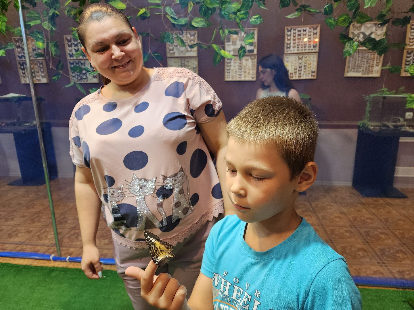 Раменское, культура, выставка экзотических бабочек