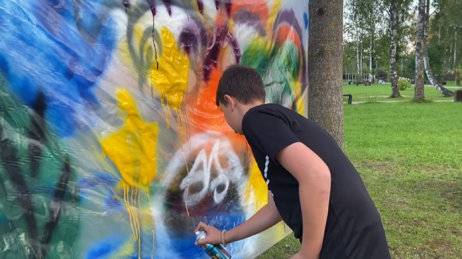 #целлографити, #искусство, #парксолнечныйберег, #талдомскийокруг, #рисование