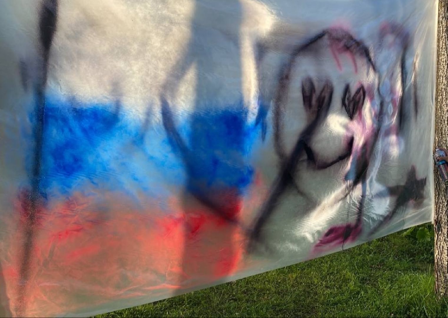 #целлографити, #искусство, #парксолнечныйберег, #талдомскийокруг, #рисование