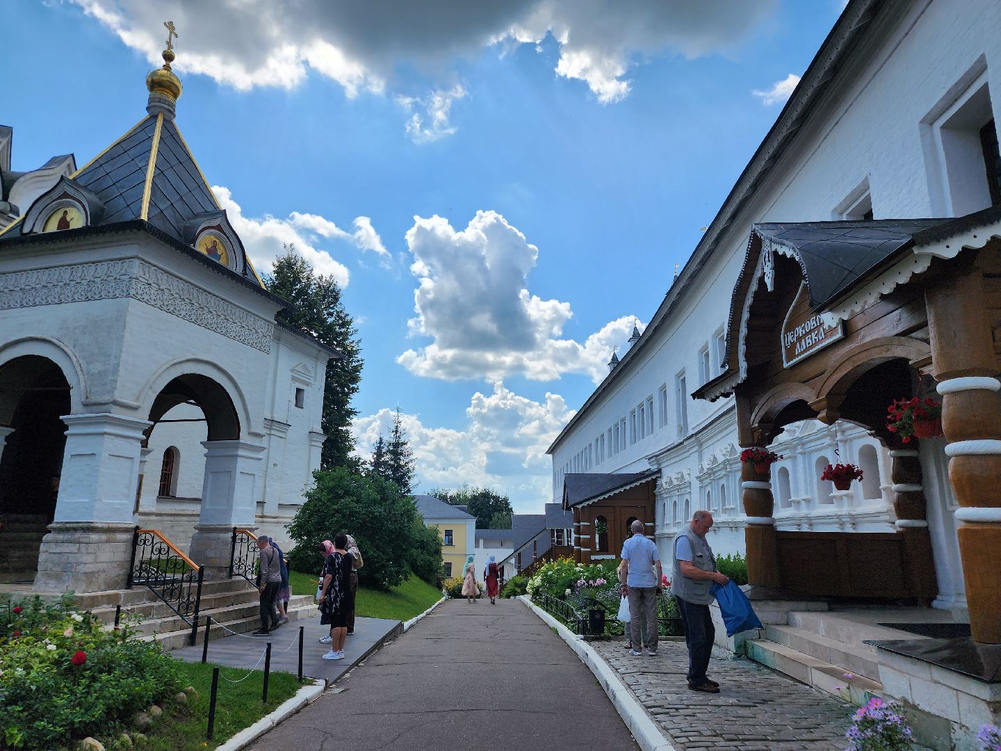 Звенигород, кинематограф, культура, день российского кино