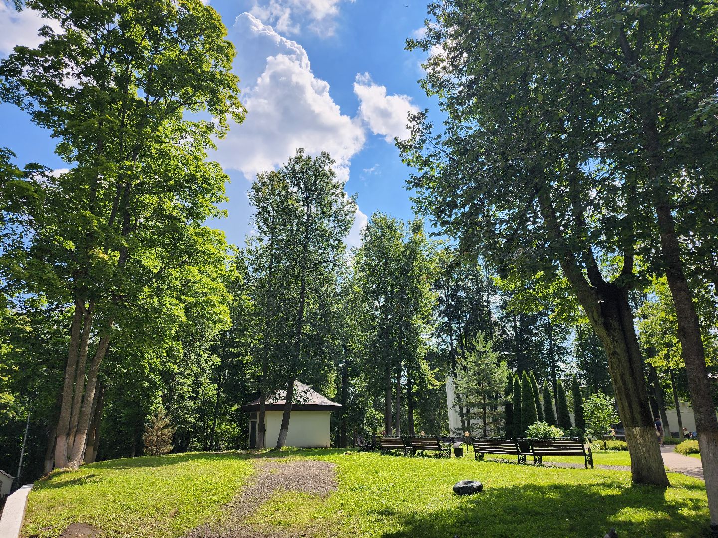 Звенигород, кинематограф, культура, день российского кино