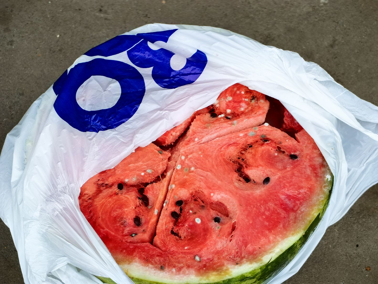 Отходы, арбуз, яблоки, мусор, урожай, акция, утилизация