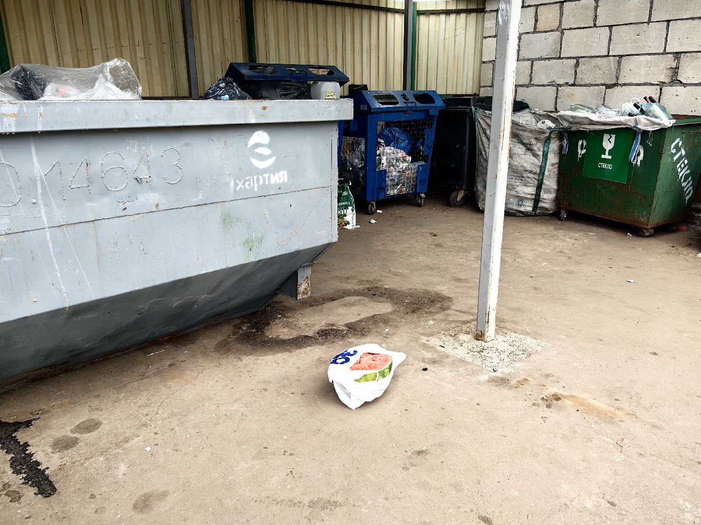 Отходы, арбуз, яблоки, мусор, урожай, акция, утилизация