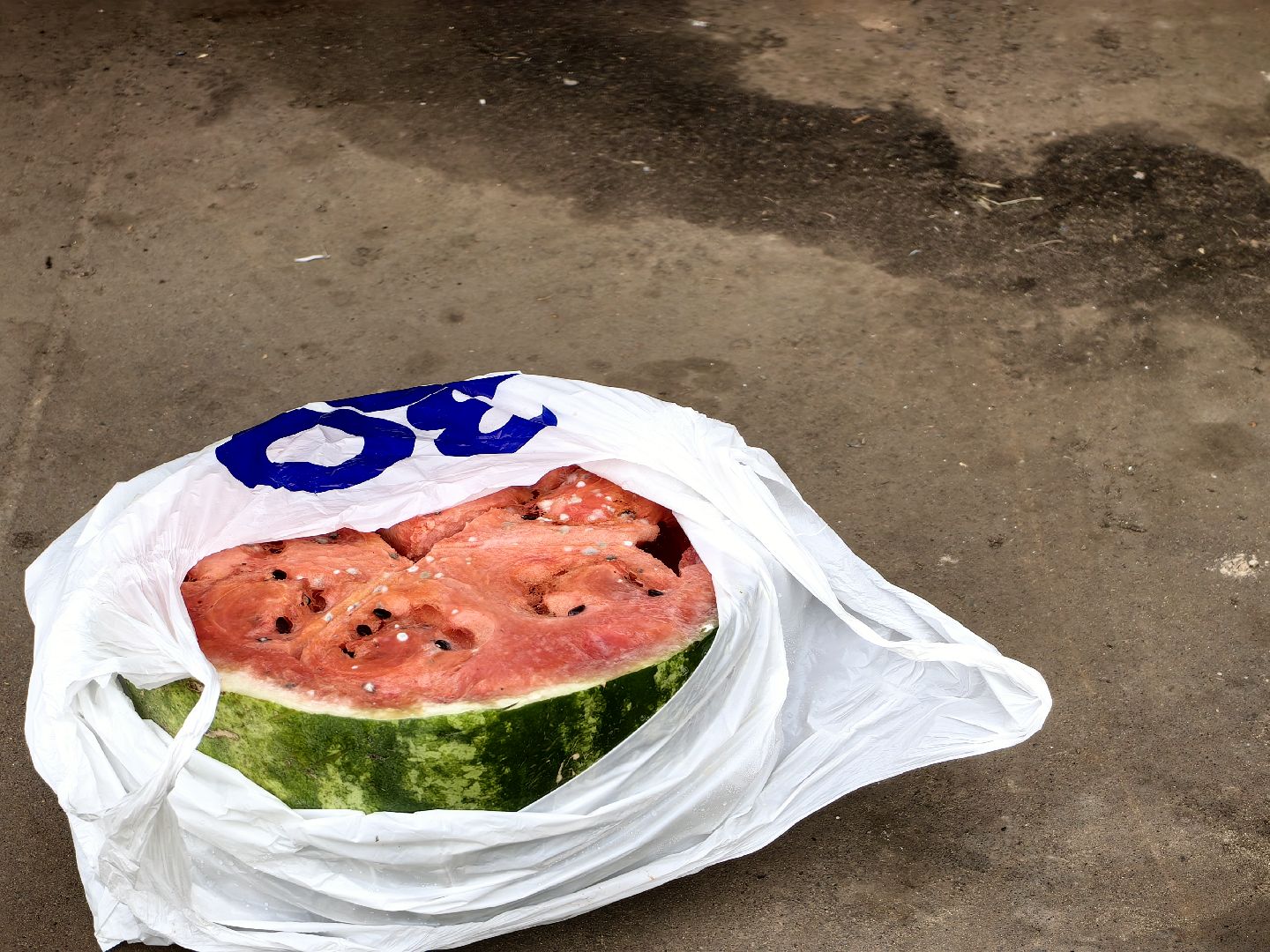 Отходы, арбуз, яблоки, мусор, урожай, акция, утилизация