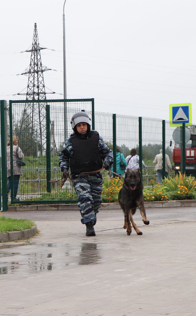 Волоколамск, учения, Гимназия №1