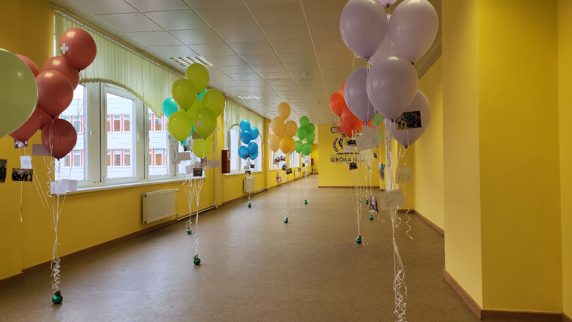 Пушкино, образование, дети, общество