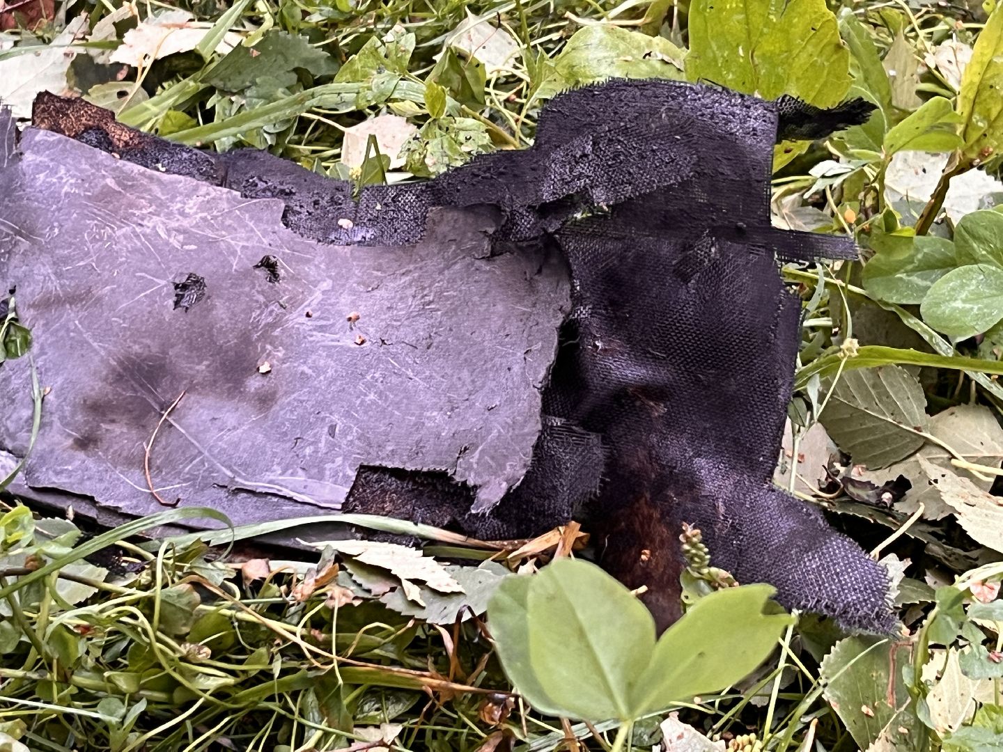 руза, рузский городской округ, происшествие, чп, бпла, беспилотник, подмосковье,