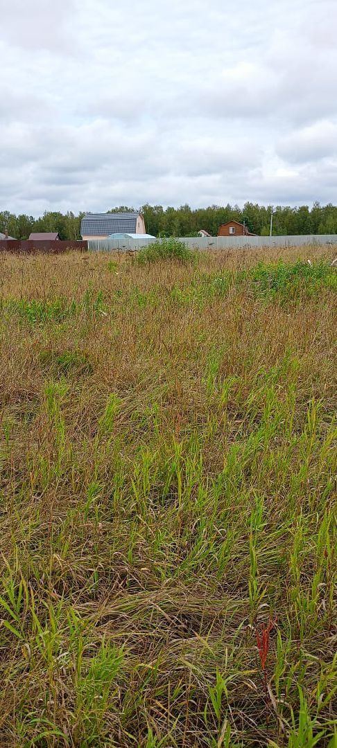 Чехов, медицина, земля врачам, программа губернатора, врачи