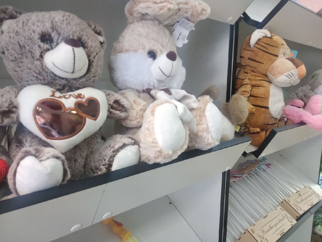 Дмитров, цветы, флорист, Минздрав МО