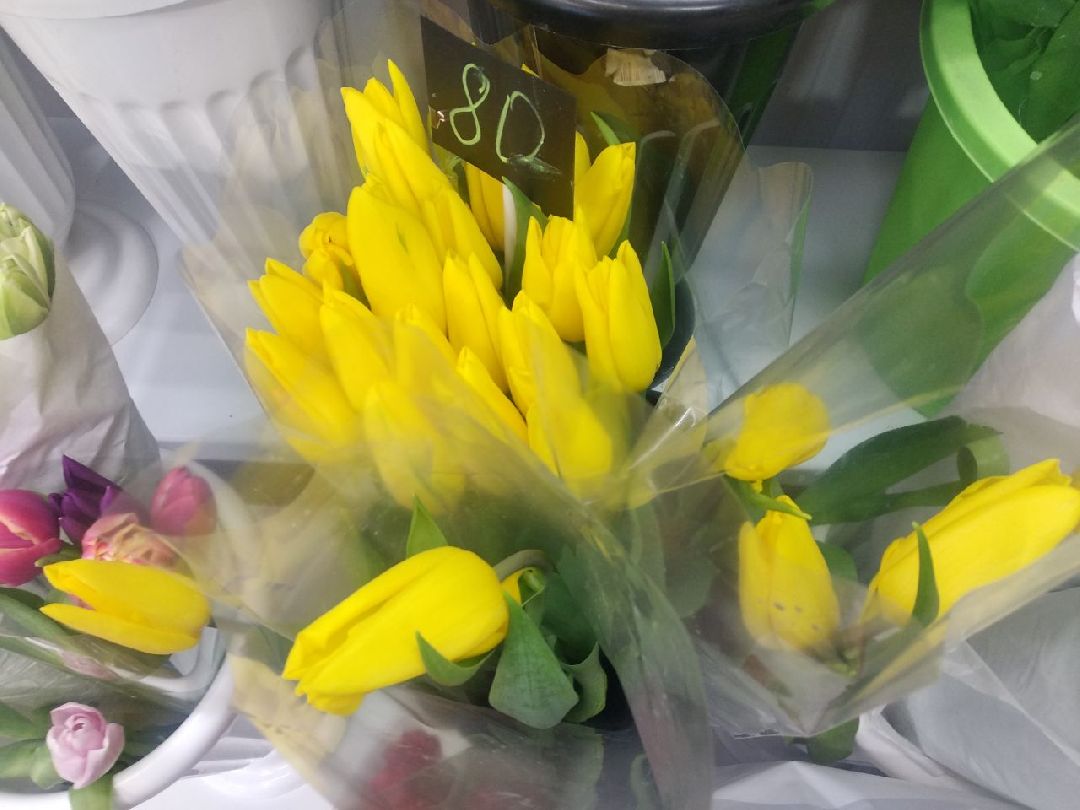 Дмитров, цветы, флорист, Минздрав МО