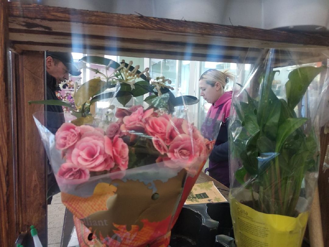 Дмитров, цветы, флорист, Минздрав МО