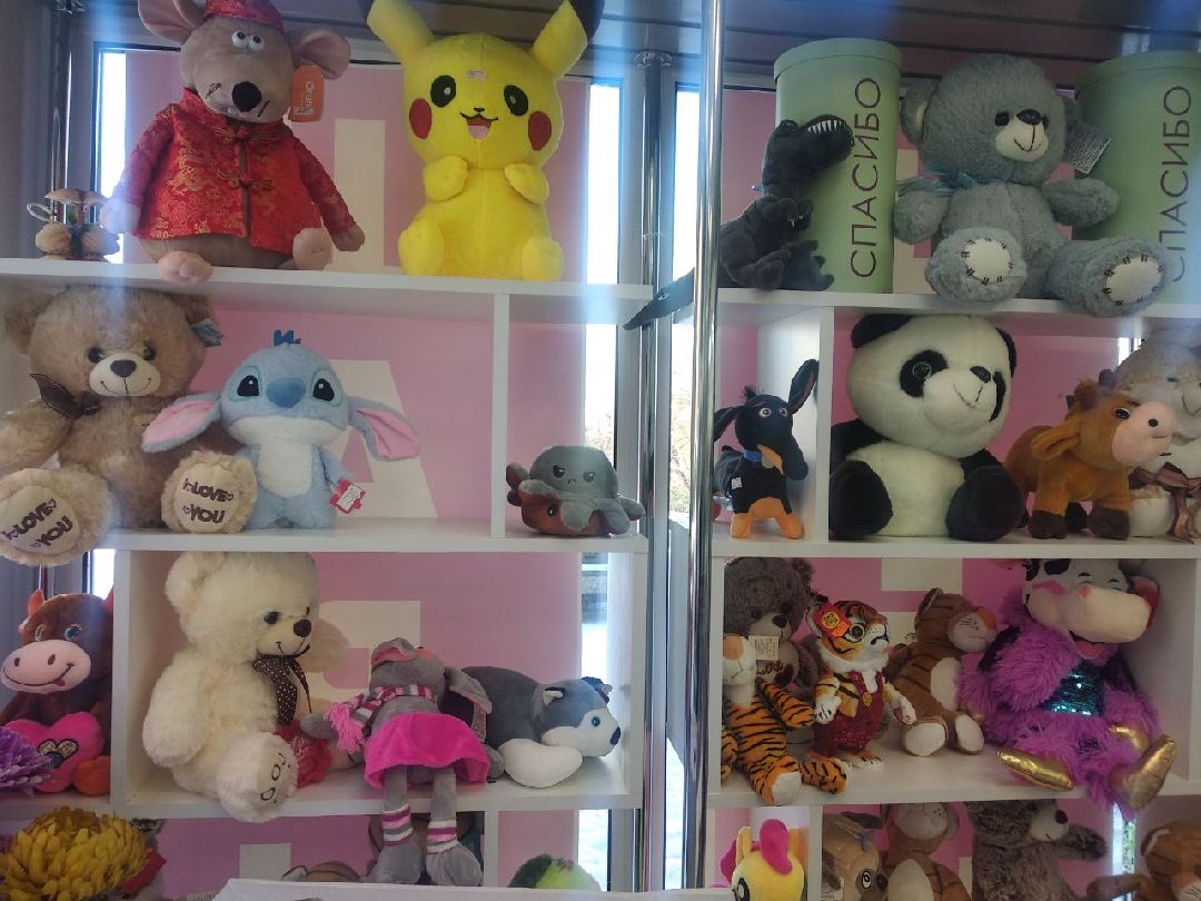 Дмитров, цветы, флорист, Минздрав МО