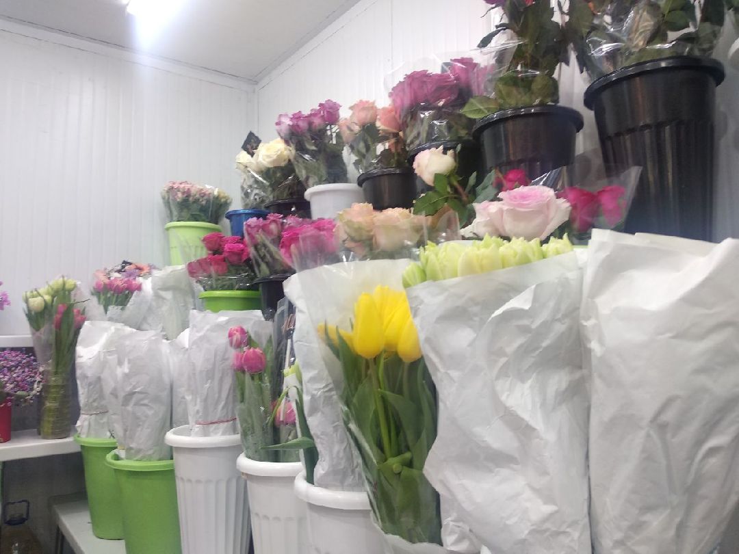 Дмитров, цветы, флорист, Минздрав МО