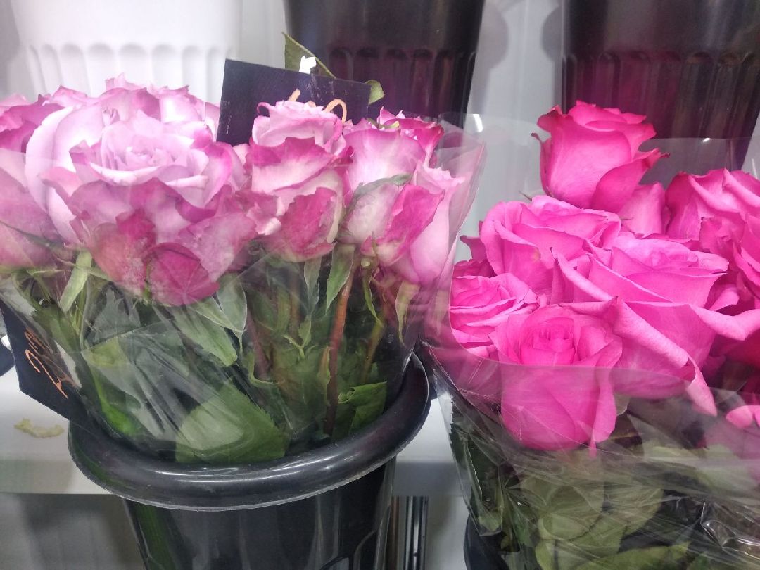 Дмитров, цветы, флорист, Минздрав МО