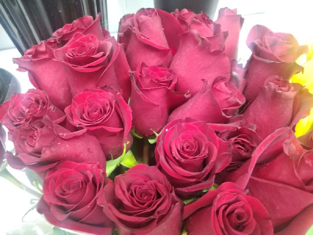 Дмитров, цветы, флорист, Минздрав МО